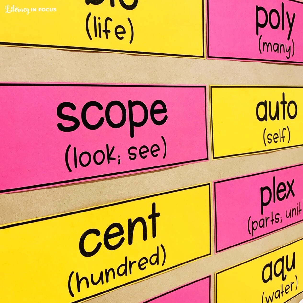 Root Words Word Wall Cards