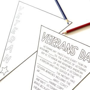 Veterans Day Pennant Flags